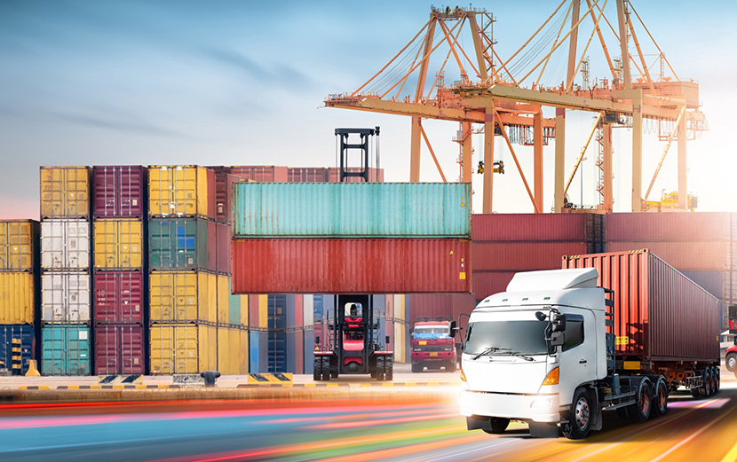 国际海运航线查询避坑：警惕这些虚假航程信息