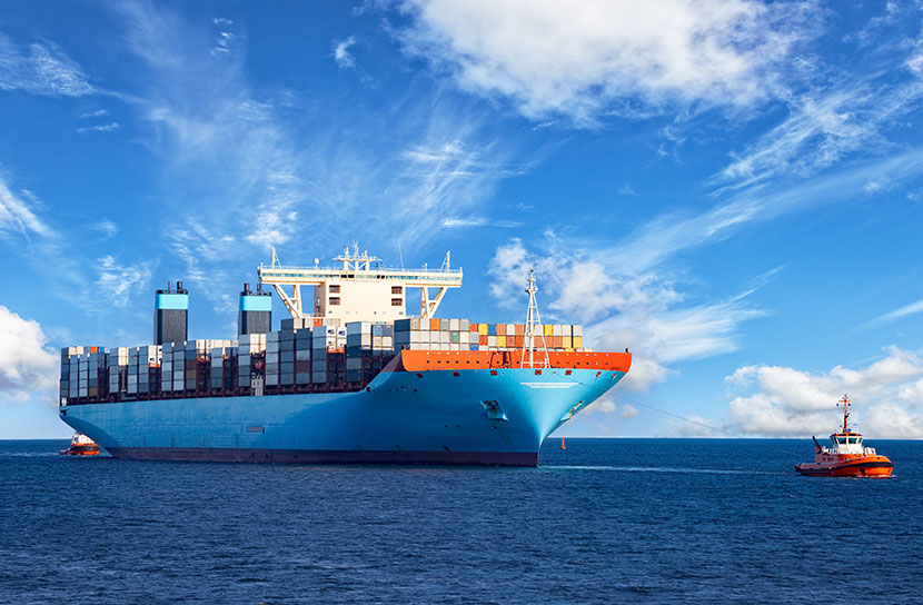 2025年海运整柜出口美国成本解析：哪些因素在悄悄涨价？