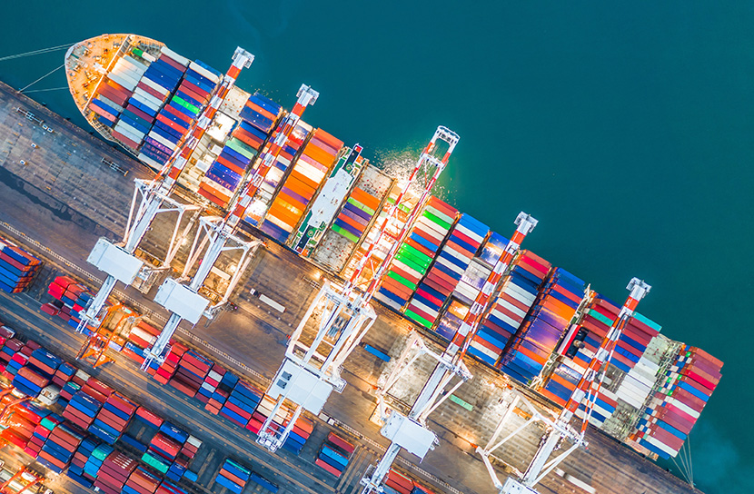 国际海运整柜全链路标准化与精细化服务体系构建