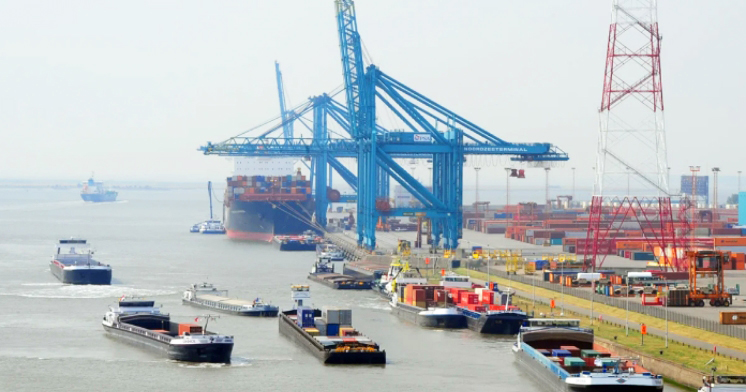 国际空运海运的货物类型和适用场景