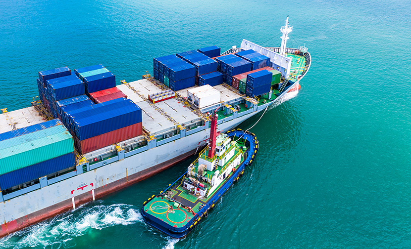 国际海运基础知识指南：从运输方式到运费全解析