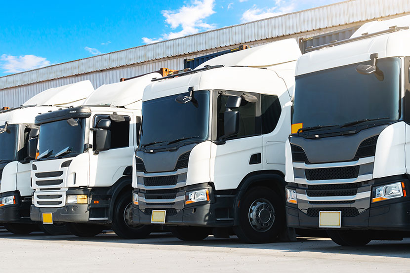 2025国际物流新趋势:数字化、绿色化、本地化如何重塑行业? 2025国际物流新趋势:数字化、绿色化、本地化如何重塑行业?