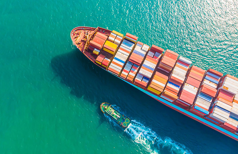 海运出口各环节操作要点解析 海运出口各环节操作要点解析