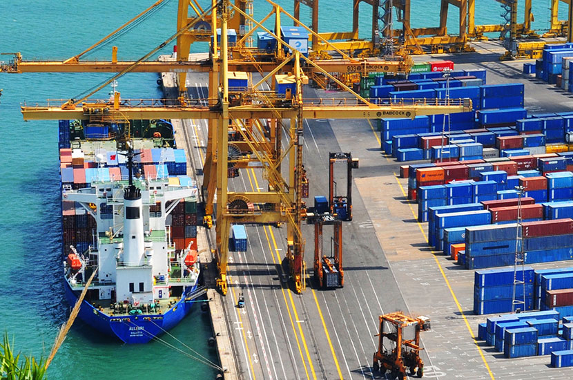 海运市场的服务体系升级与价值重构